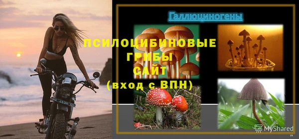 хмурый Каменск-Шахтинский
